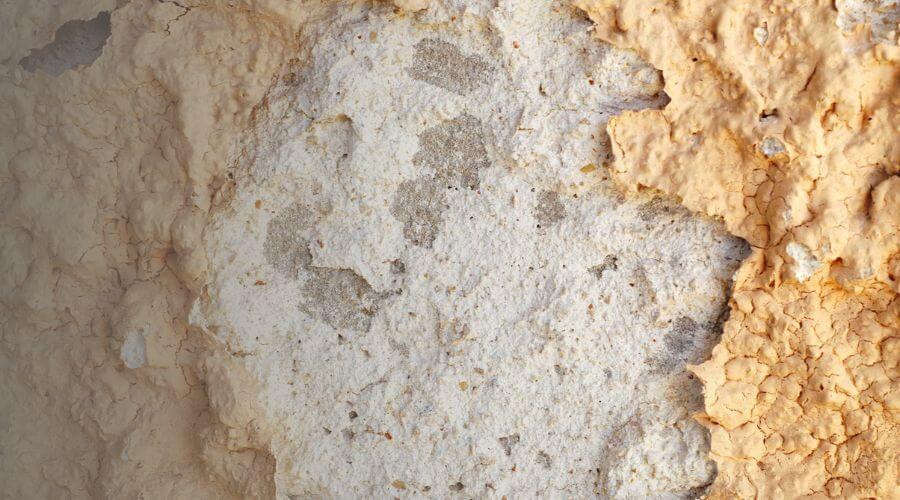 Why choose Charlotte Nc Water Damage Repair for water damage restoration in Charlotte, Nc